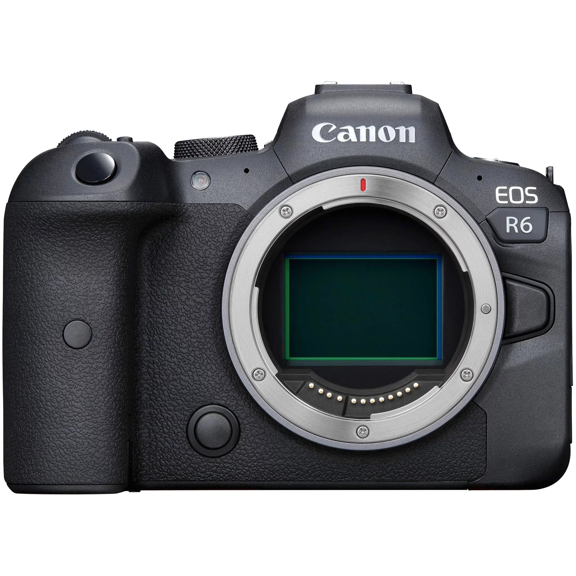 Canon EOSize R6 Mirrorless Camera with RF 24-105mm SizeTM + 75-300mm Lens + Mount Adapter + 32GB SizeanDisk + ZeeTech Accessory