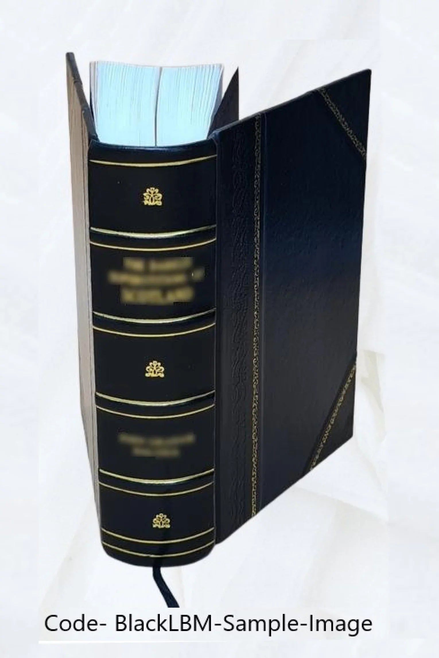Aristotelis opera omnia. Graece et latine cum indice nominum et rerum absolutissimo ... Volume v.3 1850 [Leather Bound]