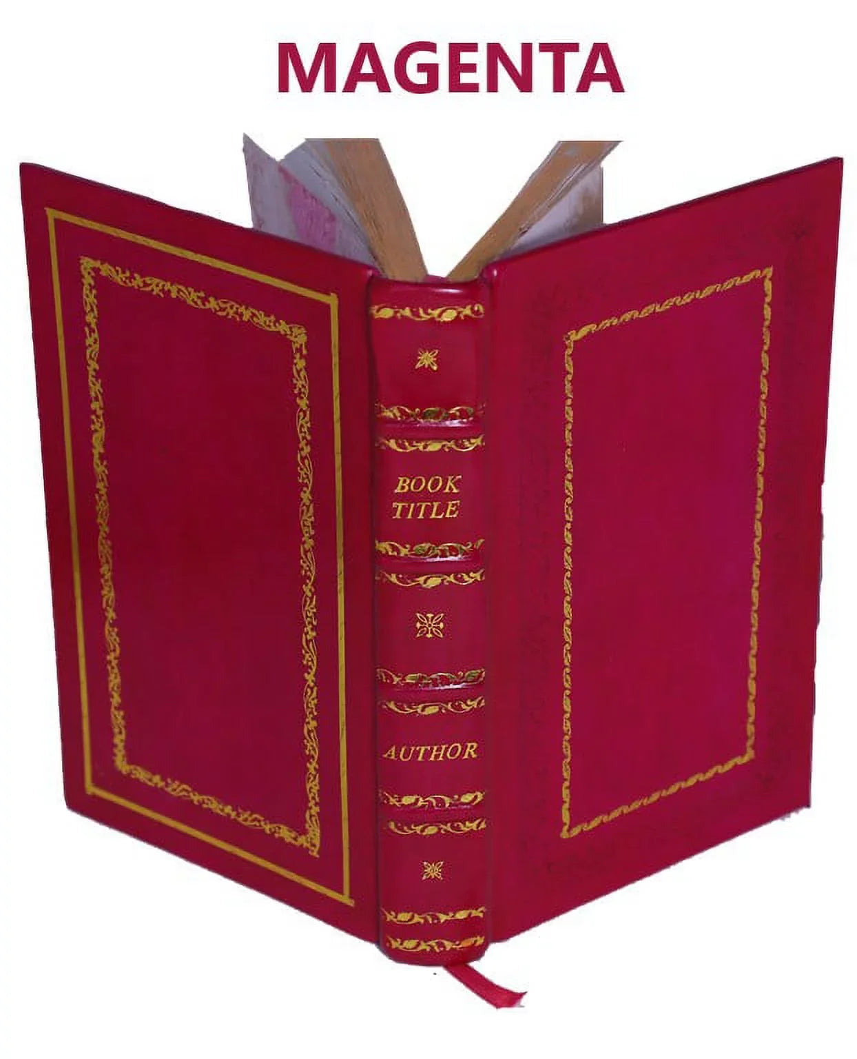 Omega: the last days of the world, by Camille Flammarion; with illustrations by Jean Paul Laurens, Sizeaunier, Méaulle, Vogel, Rochegrosse, Geradin, Chovin, T [Premium Leather Bound]