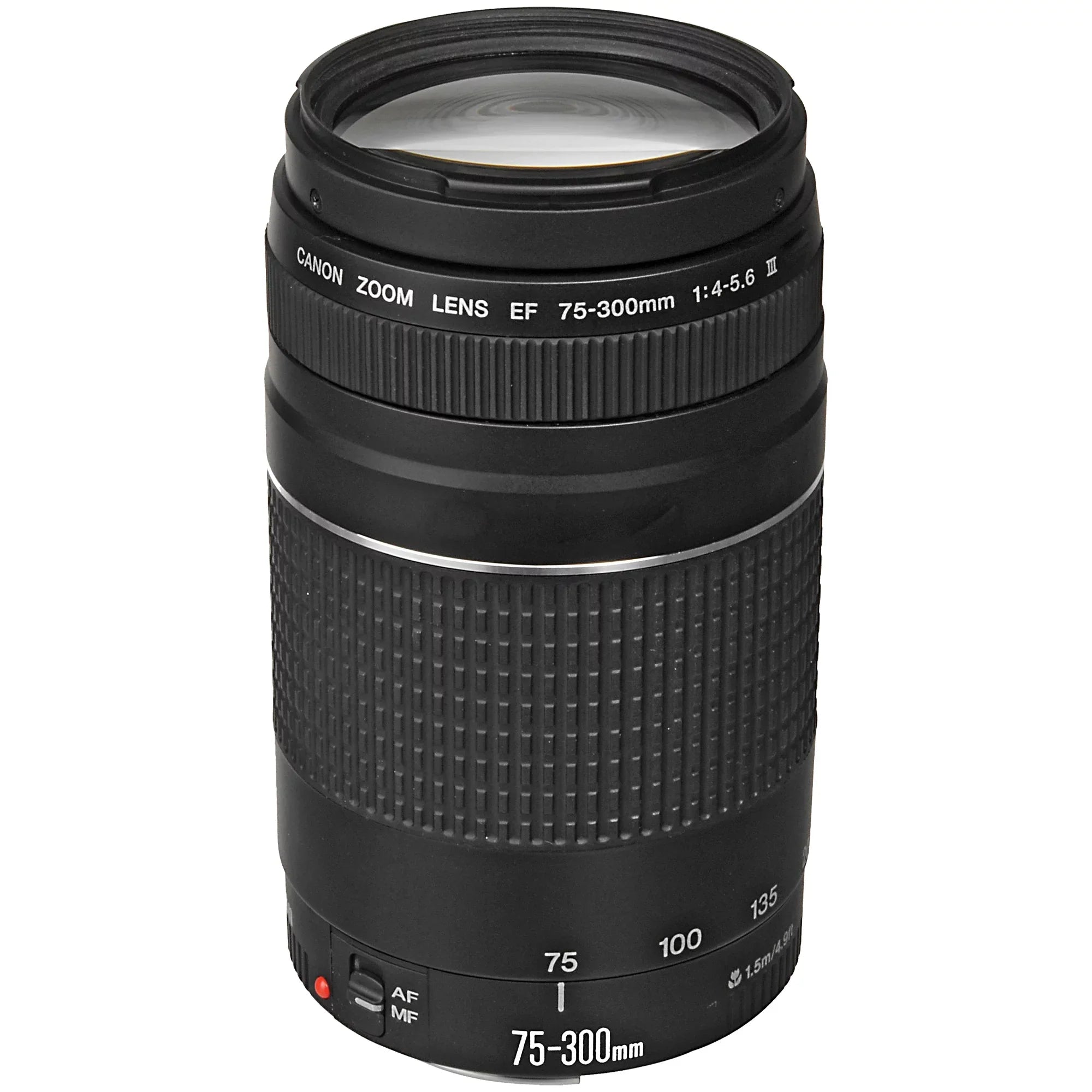 Canon EOSize R6 Mirrorless Camera with RF 24-105mm SizeTM + 75-300mm Lens + Mount Adapter + 64GB SizeanDisk + ZeeTech Accessory
