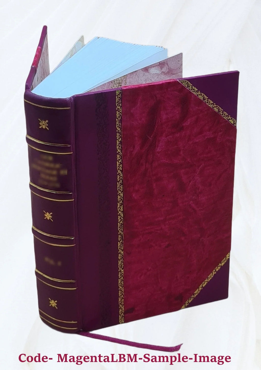 Aristotelis opera omnia. Graece et latine cum indice nominum et rerum absolutissimo ... Volume v.3 1850 [Leather Bound]