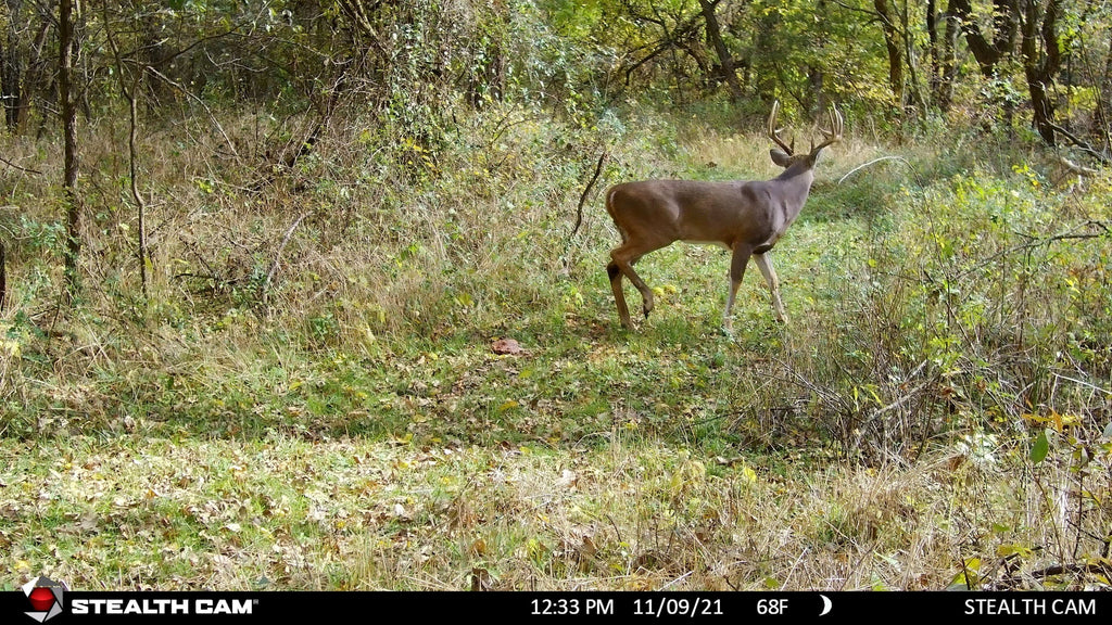 Sizetealth Cam DSize4K Ultimate 32MP 4K Video 30FPSize, Hunting Trail Monitor