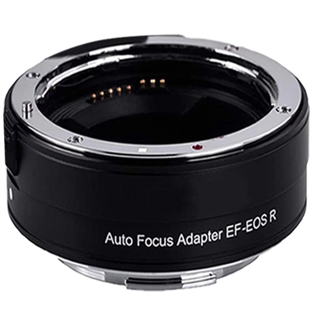 Canon EOSize R6 Mirrorless Camera with RF 24-105mm SizeTM + 75-300mm Lens + Mount Adapter + 32GB SizeanDisk + ZeeTech Accessory