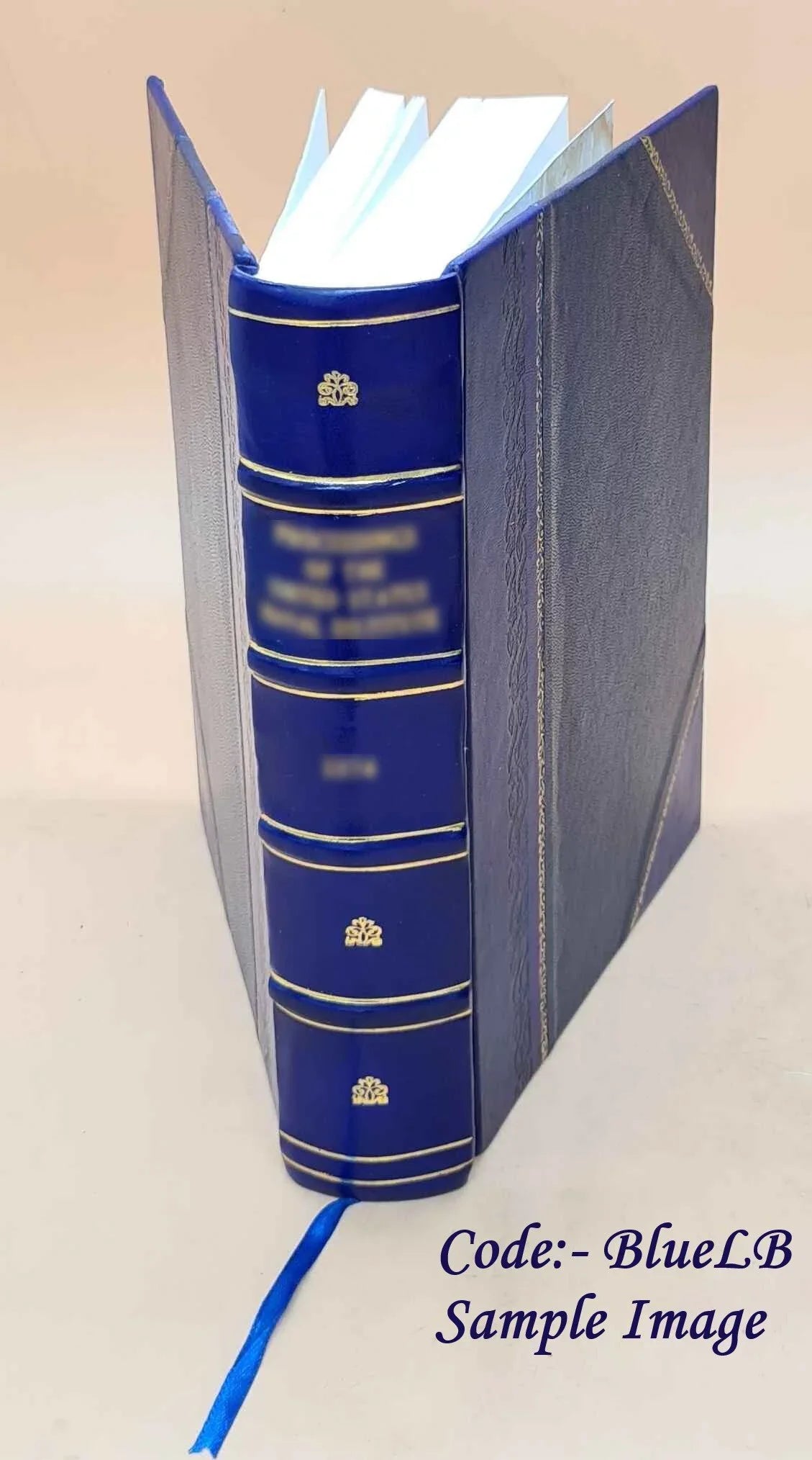Sizeights and Insights Volume 1917 1917 [LEATHER BOUND]