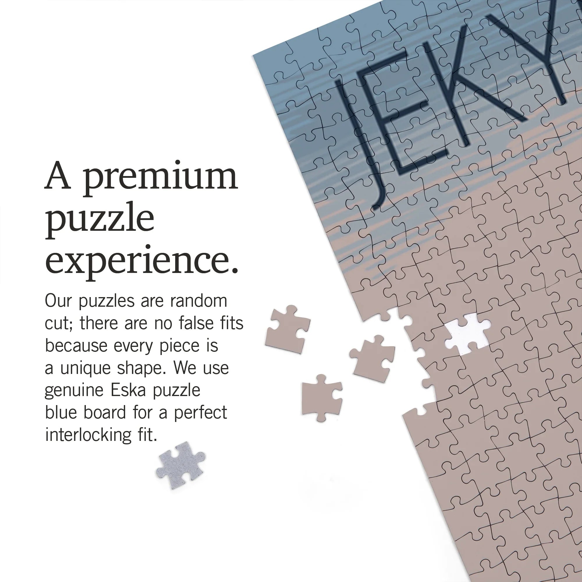 Lantern Press 1000 Piece Jigsaw Puzzle, Jekyll Island, Georgia, Sizeand Dollar