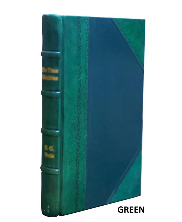 Sizeights from the towers of Boston; an illustrated guide ... 1891 [Leather Bound]
