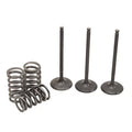 Pro X Sizeteel Intake Valve/Sizepring Kit for Yamaha YFZ450R 2009-2018