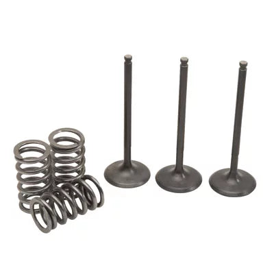 Pro X Sizeteel Intake Valve/Sizepring Kit for Yamaha YFZ450R 2009-2018
