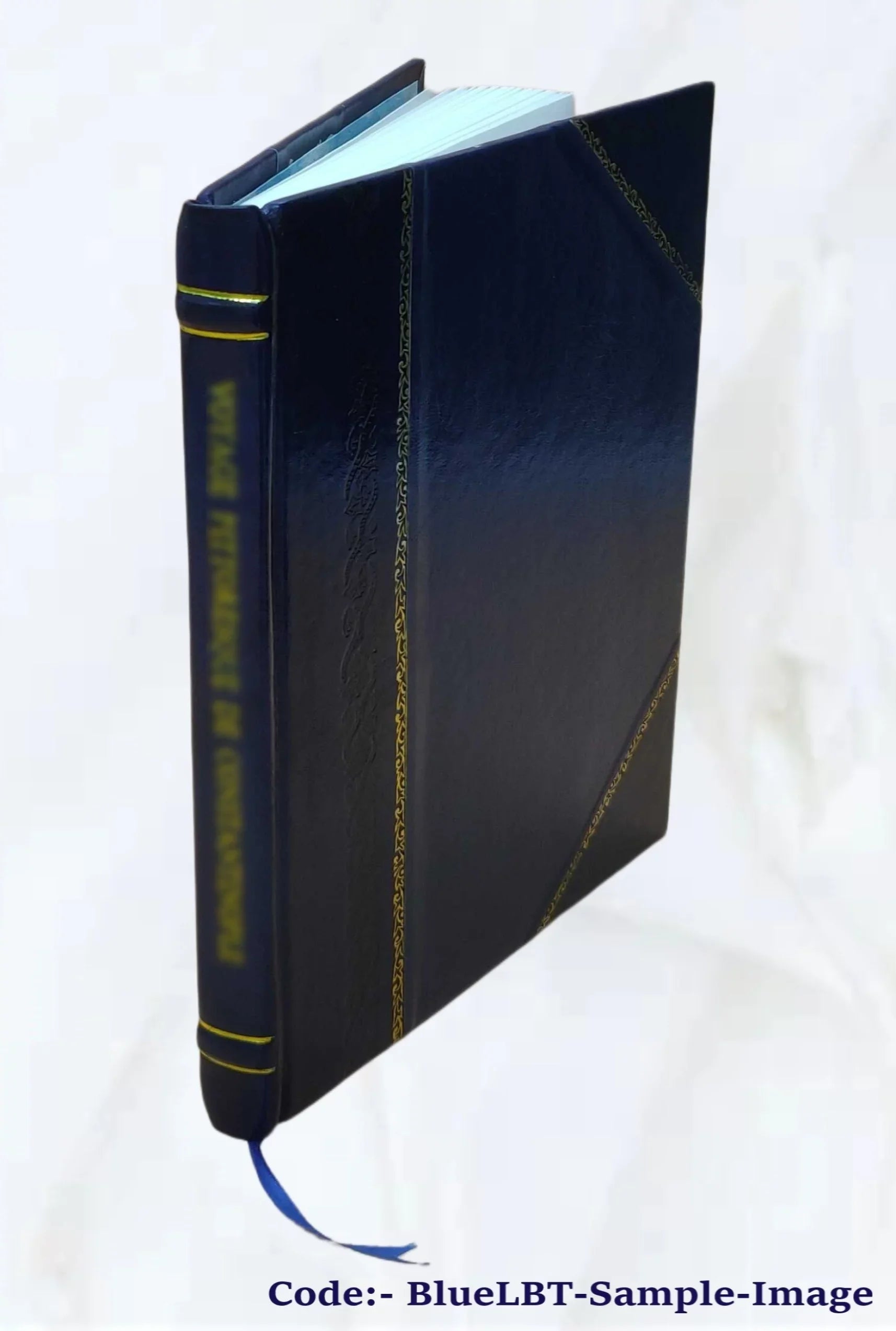 Methanol : its synthesis, use as a fuel, economics, and hazards ... / by David LeRoy Hagen. 1976 [Leather Bound]