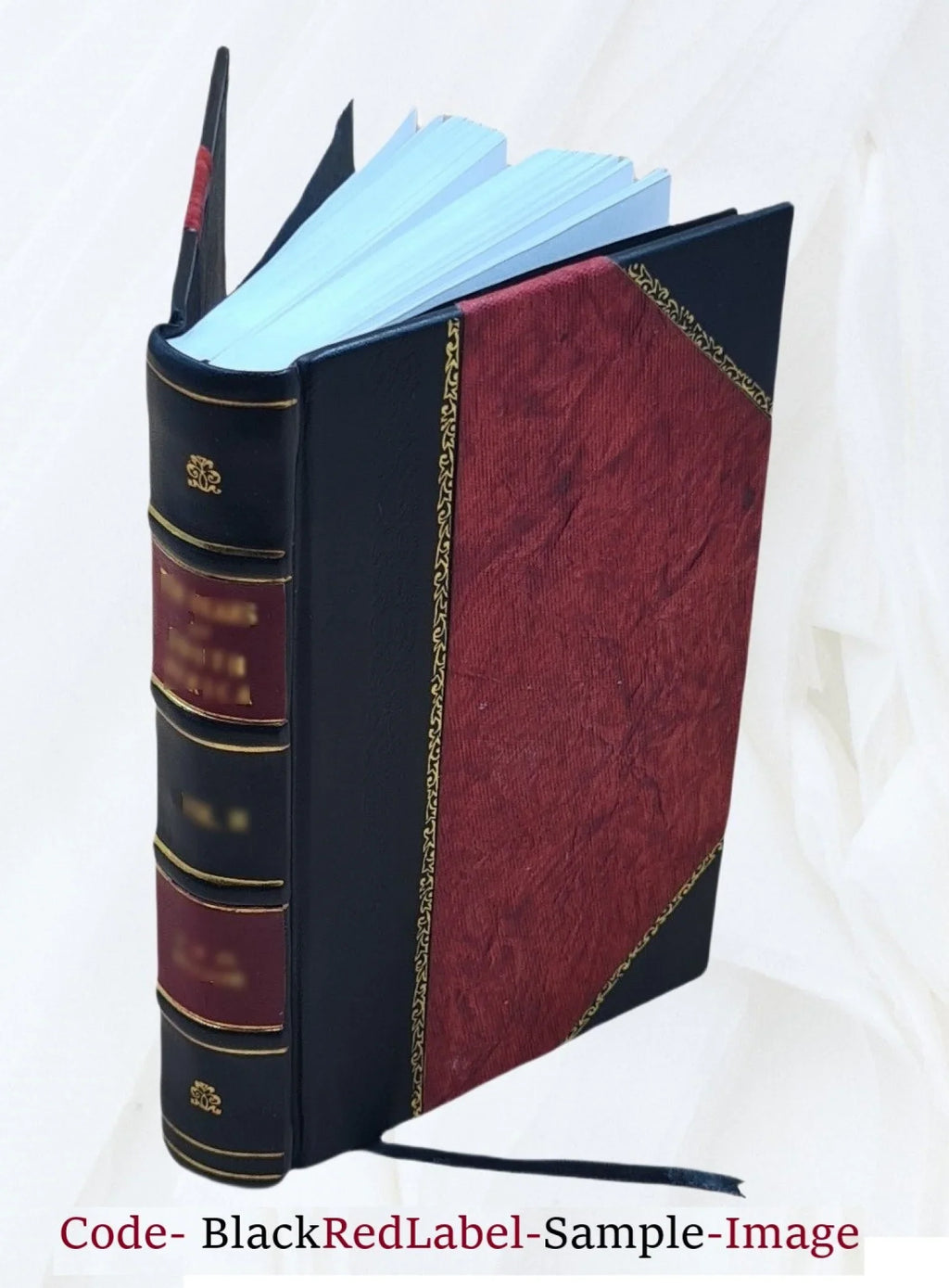 Old Gold, The Cruise of the Jason Brig 1900 [Leather Bound]