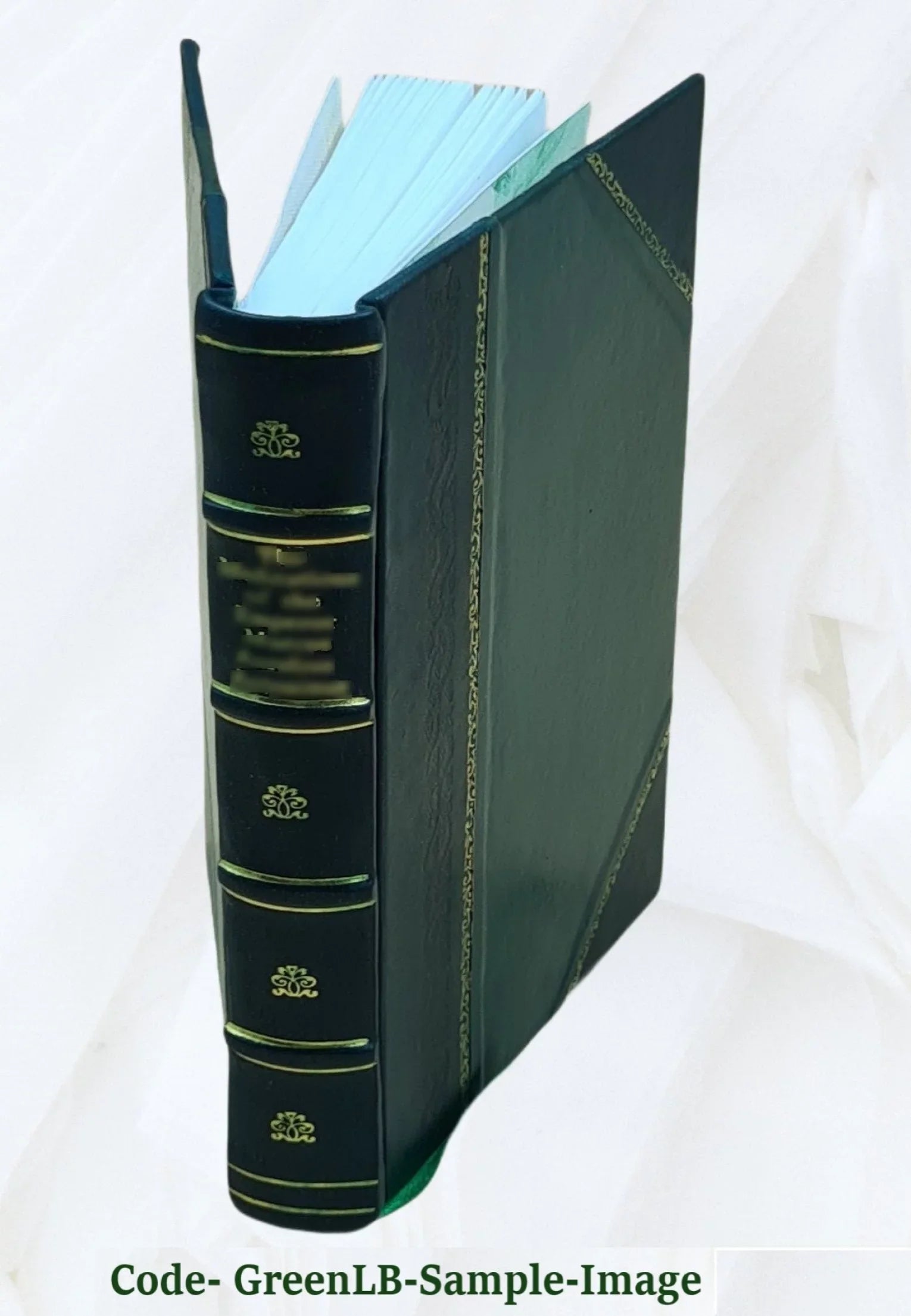 Catalogo della R. Pinacoteca di Milano (Palazzo Brera). 1892 [Leather Bound]